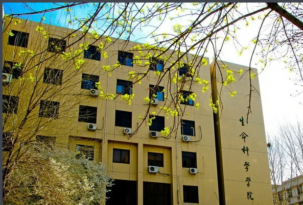 （2006年）山東大學(xué)生命科學(xué)院實(shí)驗樓  